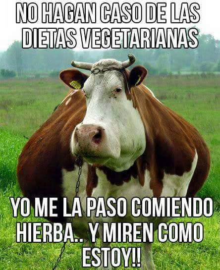 Dieta_vegetariana